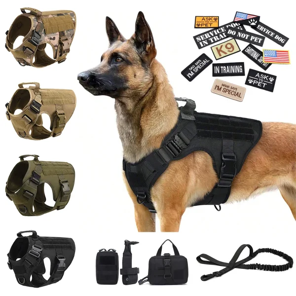 Large Harness Collar Leash Bags Set