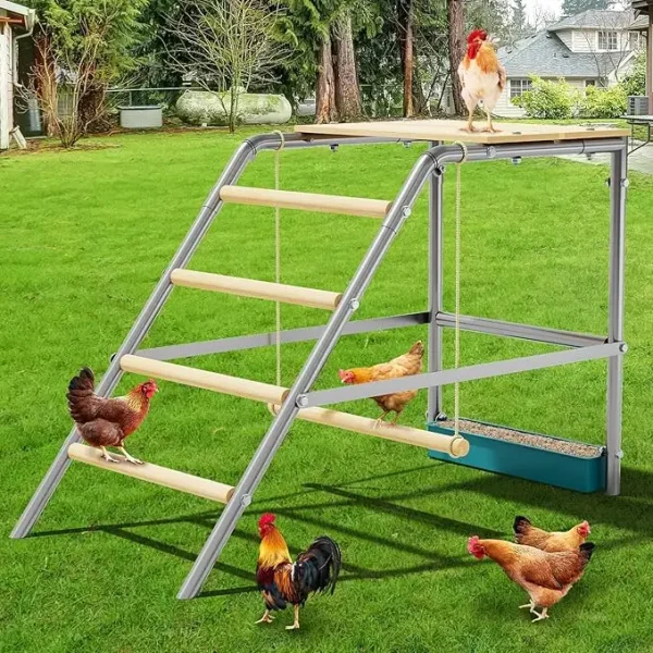Chicken Perch with Ladder Design.