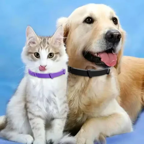 Plastic, Adjustable, Waterproof Pet Collar.