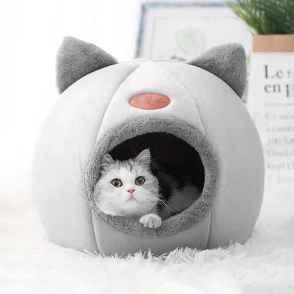 Indoor Deep Sleep Comfort Cave.