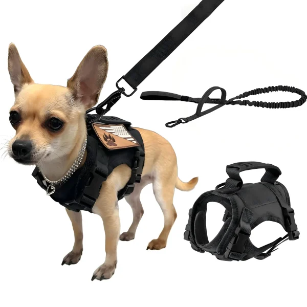 Tactical Puppy Harness Leash Set